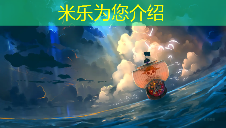 米乐为您介绍：龙力跆拳道护具