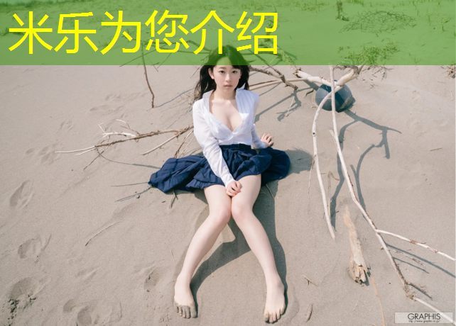 <strong>米乐为您介绍：海曙绿色塑胶跑道</strong>