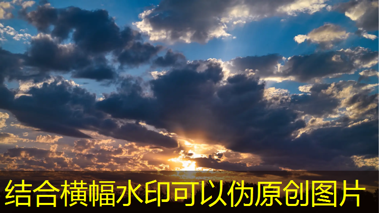 室内健身器材租赁