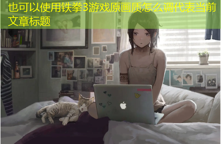 铁拳3游戏原画质怎么调
