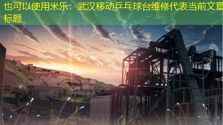 武汉移动乒乓球台维修